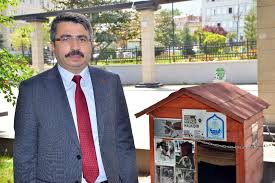 Yildirim Belediyesi Sokak Hayvanlarina Kucak Aciyor Bursa Haberleri