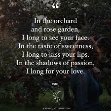 Rumi Poems In English Youtube In 2020 Rumi Quotes Rumi Sufi Quotes