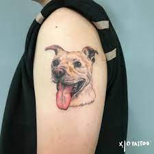 tattooworkers tattooed pettattoo cats dog cute pet 貓咪刺青 inkdrawing 寫實刺青 寵物刺青 寵物紋身 貓刺青 狗 tattoodo tattoo ink arm band tattoo picture tattoos lower back tattoos