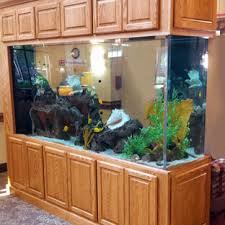 See more ideas about fish cleaning station, fish cleaning table, cleaning. Betta Fish Tank Ideas Houzz