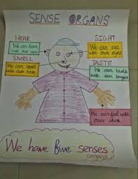 creative of rainy sense organs chart a school work