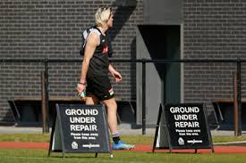 01:05 edt, 16 june 2021 | updated: Darcy Moore Pictures Photos Images Zimbio