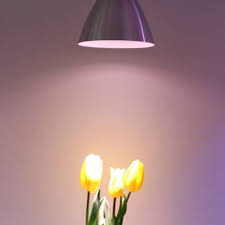 When you are growing in a small place or room or space, you cannot use a big. Parus E27 Led Bulb 6 2watt 60 The Online Shop For Gardening