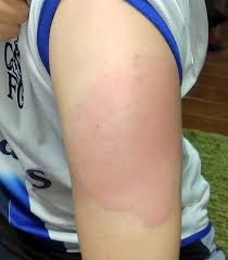 ノ 寝取られ 本物レイプ おばさん 六十路 流出 ギャル 爆乳 マジックミラー マッサージ エロアニメ 友達のお母さん ハメ撮り ライブチャット フェラ アナル. æ›´æ–° ãƒ¢ãƒ‡ãƒ«ãƒŠï¼'å›žç›® å‰¯åå¿œ ç¿Œæ—¥å¼·ãå‡ºã‚‹ä¾‹ã‚‚ é£Ÿäº‹ã‚„ä¼'æ—¥å–å¾— äº‹å‰ã«æº–å‚™ã‚' æ²³åŒ—æ–°å ±ã‚ªãƒ³ãƒ©ã‚¤ãƒ³ãƒ‹ãƒ¥ãƒ¼ã‚¹ Online News