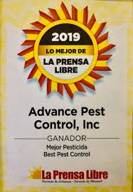 Thanks to the great yelp reviews i found an outstanding pest control team! Home Advance Pest Control And Lawn Care