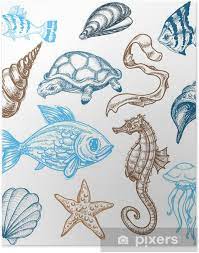 Marine Life Drawing Poster Pixers We Live To Change