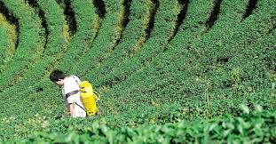 In order to take complete control of the invading pests that have infested your home, you must the tools that you use will make pest control and pesticide application a less burdensome task. The Best Pest Control Tool List For Pest Control Technicians