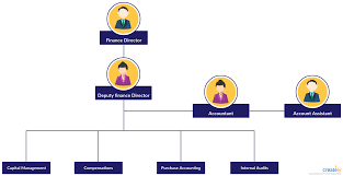 Check spelling or type a new query. Finance Department Structure Org Chart Structure For Finance And Accounting Department And Its Sub Sections Click On Th Org Chart Finance Organization Chart