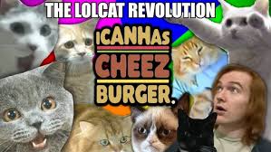 Image result for lolcats