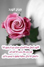 pin by sara elwakil on صباح الخير بطاقات صباحية trendy flowers good morning images mixed feelings quotes