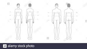 Human muscles · june 1, 2021. Men And Women Standard Body Parts Terminology Measurements Illustration For Clothes And Accessories Production Fashion 9 Head Male And Female Size Chart Human Body Infographic Template Stock Vector Image Art Alamy