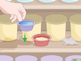 Maybe you would like to learn more about one of these? How To Make Rat Poison Rat Poison Homemade Rat Poison Getting Rid Of Mice