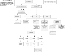 Http Www Imagingpathways Health Wa Gov Au Index Php Image Galleries Medical Images Urological Id 149 Tmpl Component Format Pdf