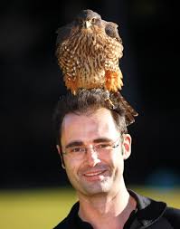 Attracting the birds