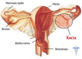 Toshnit I Bolit Golova Tyanet Niz Zhivota I Kruzhitsya Golova Eti Simptomy Stoyat Vashego Vnimaniya Krasota I Zdorove Yandeks Dzen