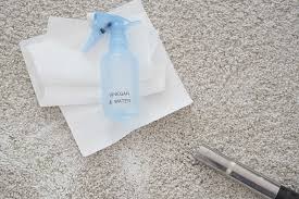Got tired of tenant after tenant getting charged for the same subject: Homemade Carpet Cleaner Pet Stains The Organised Housewife