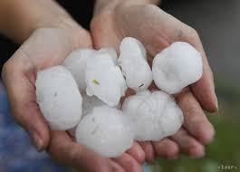 A vajdaság északi részén horgoson, magyarkanizsán, csantavéren, dió nagyságú jég esett. Mintegy 2000 Karbejelentes Erkezett A Biztositokhoz A Kassai Jegeso Utan Felvidek Ma