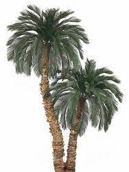 Maybe you would like to learn more about one of these? Pin On Outdoor Artificial Plants Trees Flowers