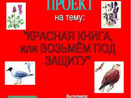 проект по окружающему миру красная книга или возьмем под защиту Proekt Krasnaya Kniga Ili Vozmyom Pod Zashitu