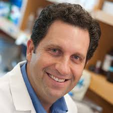 Engineering branching networks through synthetic turing morphogen circuits 