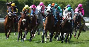 Nyra Announces Stakes Schedule For 48 Day Belmont Spring