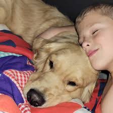 Megan Fruge's Instagram, Twitter & Facebook