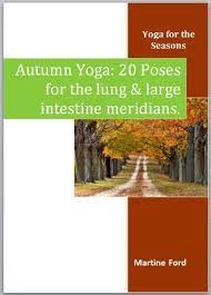 Below you will find clinical usage information for all points along the (li) large intestine meridian. Autumn Yoga 20 Poses For The Lung And Large Intestine Meridians Yoga For The Seasons Book 2 English Edition Ebook Ford Martine Amazon De Kindle Shop