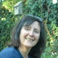 Stephen Groppi Email & Phone Number