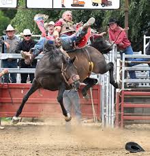 National rodeo finals draw good crowds | Otago Daily Times Online News