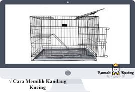 Biasanya harga kandang kucing juga tergantung dari ukurannya. 7 Cara Memilih Kandang Kucing Sesuai Prosedur Yang Benar
