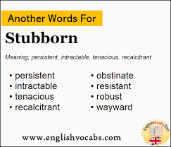 Meaning of the name origin of the name names meaning names starting with names of origin. Another Word For Stubborn What Is Another Word Stubborn English Vocabs