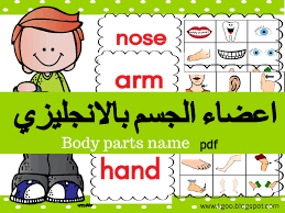 اقسام المنزل بالانجليزية للاطفال : ØªÙ‚Ù†ÙŠØ§Øª ØªØ¹Ù„ÙŠÙ… Ø§Ù„Ù„ØºÙ‡ Ø§Ù„Ø§Ù†Ø¬Ù„ÙŠØ²ÙŠÙ‡ Ù„Ù„Ø§Ø·ÙØ§Ù„ Ø§Ø¬Ø²Ø§Ø¡ Ø¬Ø³Ù… Ø·Ø±Ù‚ ØªØ¯Ø±ÙŠØ³ Ø§Ù„Ø§Ù†Ø¬Ù„ÙŠØ²ÙŠ Ù„Ù„ØµÙ Ø§Ù„Ø£ÙˆÙ„ Ø§Ù„Ø§Ø¨ØªØ¯Ø§Ø¦ÙŠ