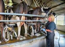Image result for when would you need an agricultural lawyer