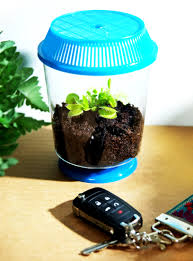 You see, venus flytraps have a clever trick up their botanical sleeve. Venus Flytrap Terrarium Kit Snappy Fly Trappers Nature Gift Store