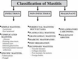 Most women with mastitis would experience breast pain, fever and weakness. New Proposed Classification Of Mastitis Download Scientific Diagram