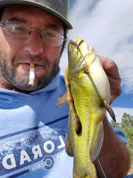 Can you catch catfish in the San Juan river below Navajo?