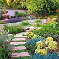 Water Wise Flowers To Plant Succulent Landscaping Front Yard Drought Tolerant Garden Water Wise Landscaping