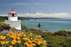 Discover top restaurants, spas, things to do & more. I Ve Visited Humboldt County 30 Times Here S How To See The County In A Weekend