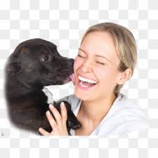 We Have Dozens Of Variations On The Theme Using The