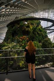 Facebook is showing information to help you better understand the purpose of a page. Gardens By The Bay Everything You Need To Know