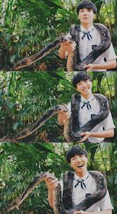 A snake that comes from an egg can also be called a hatchling, while the young of snakes that give live birth can also be called neonates. Jungkook S Little Sister Imagines Hoseok Hoseok Bts Jung Hoseok