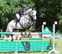 Als höhentraining bezeichnet man in der trainingslehre im weitesten sinne den versuch, durch natürliche oder simulierte seehöhe einen trainingseffekt zu erzielen. Reiten S Springen Mit Stechen Als Turnierhohepunkt Sport Schwarzwalder Bote