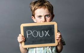 Poux Astuces Naturelles Pour S En Debarrasser Rapidement Bc