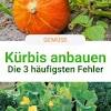 Gurken im garten pflanzen » so geht es richtig. 1