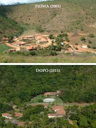 Reforestation Me Agroforestry Reforestation Soils Fire Protection Planned Grazing Fmnr Zai Holes Permaculture Permaculture Gardening Green Environment