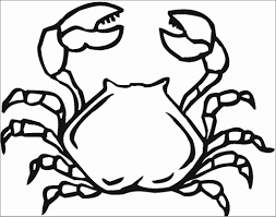 We did not find results for: Christmas Hermit Crab Coloring Page Coloringbay