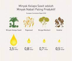 Sehari sebelum penanaman, media tanam dalam polibag harus disiram. Peran Penting Kelapa Sawit Sebagai Sumber Pangan Dunia Pt Sinar Mas Agro Resources And Technology Tbk Pt Smart Tbk