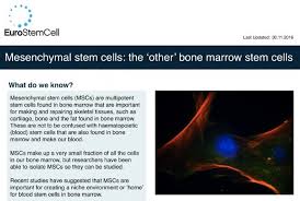 We did not find results for: Mesenchymal Stem Cells The Other Bone Marrow Stem Cells