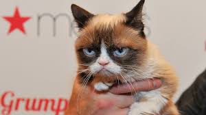 Of course everything turned out more wholesome in reality. Grumpy Cat Wins 710 000 Payout In Copyright Lawsuit Bbc News
