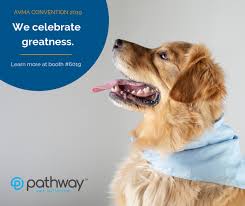 4 life animal wellness center 1730 w. Amy Moog Practice Manager Hoffman Estates Animal Hospital Linkedin